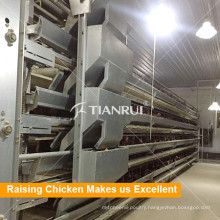 Battery Design Automatic Layer Egg Chicken Cage System